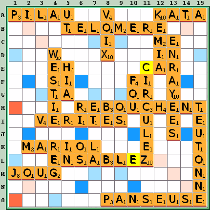 Grille de jeu